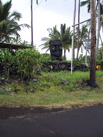 Hawaiis Straßenränder Foto 