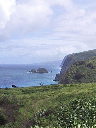 Foto Hawaiis Straßenränder - 