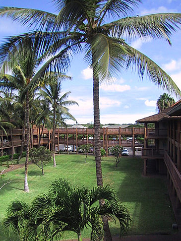 Hotelanlage auf Maui Foto 