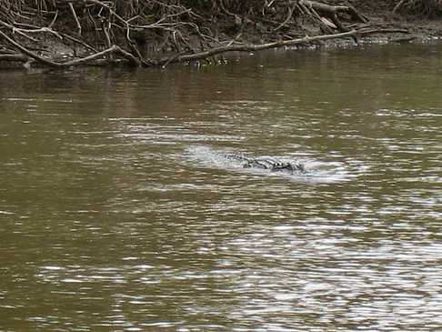 Foto Fluss - 