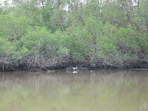 Fluss Fotos