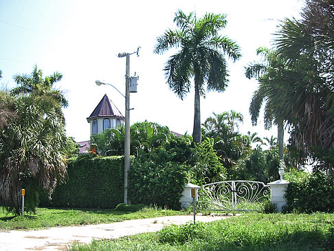 Straßenrand auf Marco Island