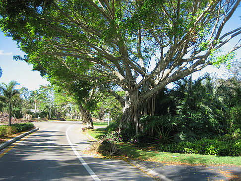 Fotos Straße | 