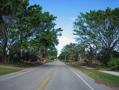 Foto Straße - 