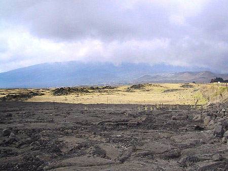 Erstarrte Lava