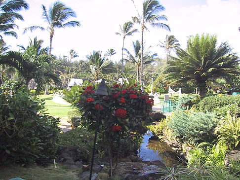 Gärten auf Kauai Foto 