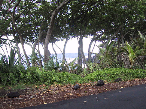 Hawaiis Straßenränder