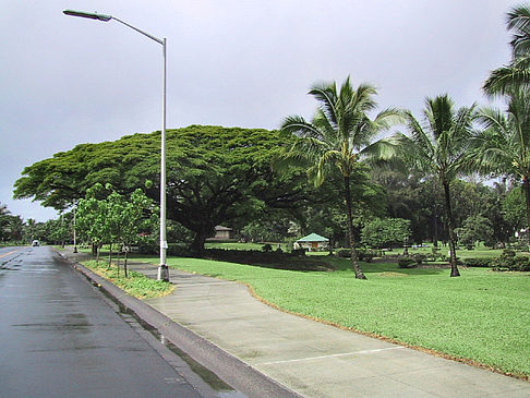 Fotos Hawaiis Straßenränder | 