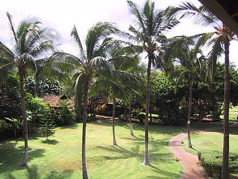 Hotelanlage auf Maui Foto 