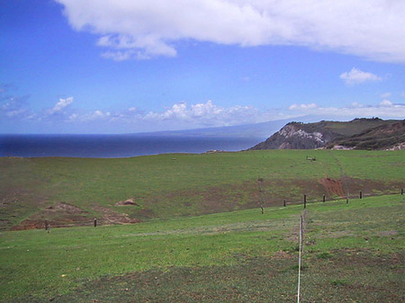Landschaft auf Maui Fotos