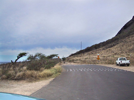 Fotos Straßen auf Oahou