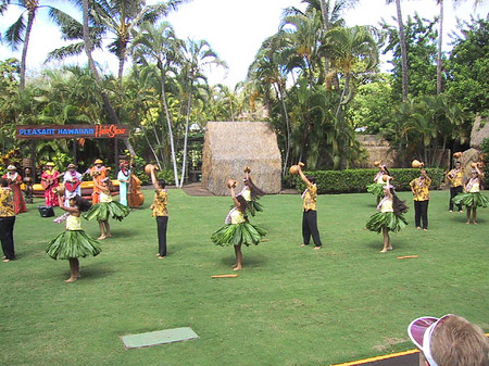 Fotos Hula Show | 