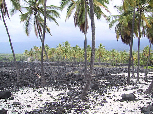 Foto Der Strand von Hawaii