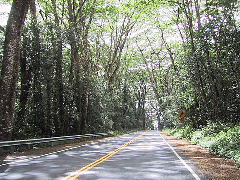 Foto Straßen auf Hawaii - 