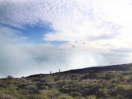 Trockene Landschaft Fotos