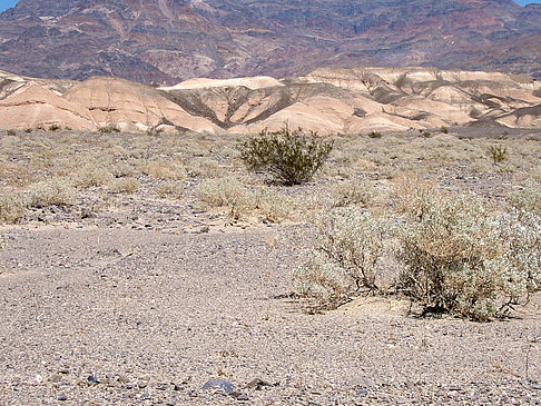 Stovepipe Wells - Ubehebe Crater Foto 