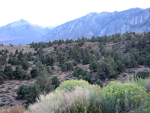 Fotos Mono Lake - Bishop