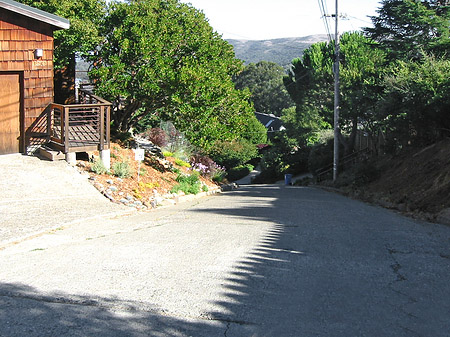 Muir Fotos